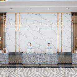 Vicostone Forza BQ8920