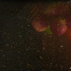 Vicostone Royal Gold BQ2020